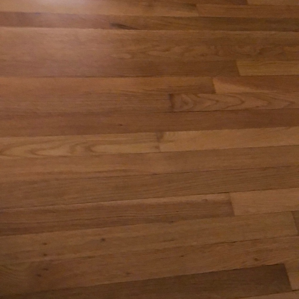 Meet your Posher, Lora